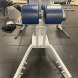 Dynamic Fitness &amp; Strength Walk-Thru Glute/Ham Developer – Model 720072