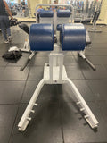 Dynamic Fitness &amp; Strength Walk-Thru Glute/Ham Developer – Model 720072