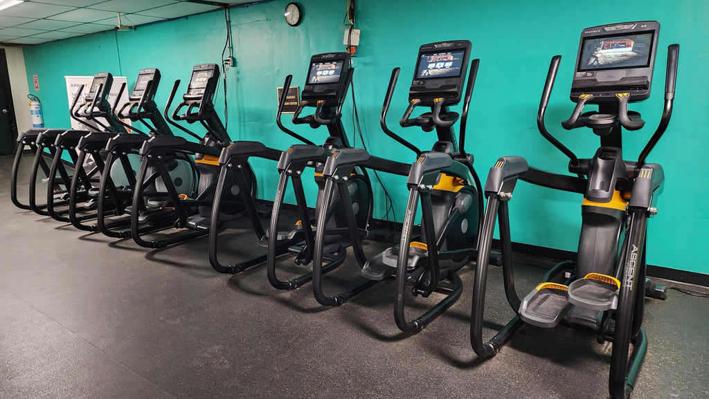 Matrix Performance Touch Ascent Trainer A-PS-Touch – CFF STRENGTH ...