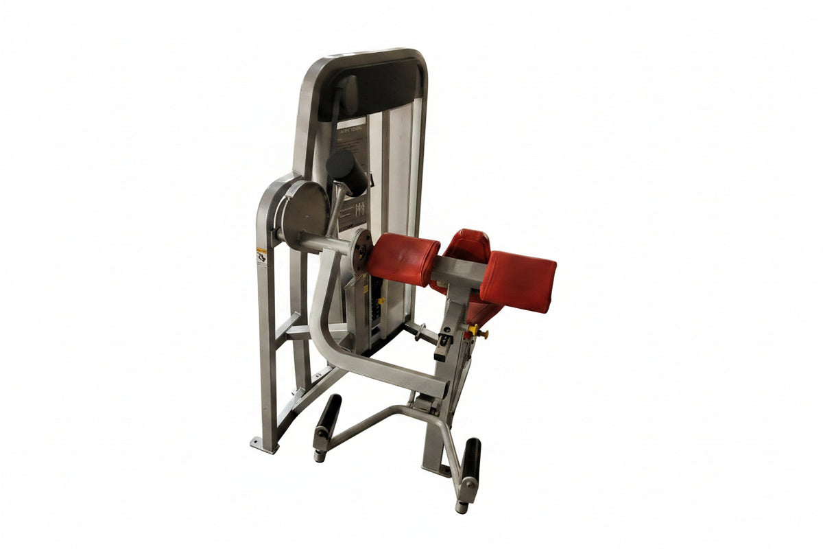 Cybex Eagle Arm Curl Model-11070