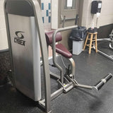 Cybex Eagle Abdominal Crunch - 11090