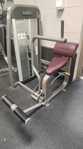 abdominal cybex Cybex Eagle Abdominal Crunch