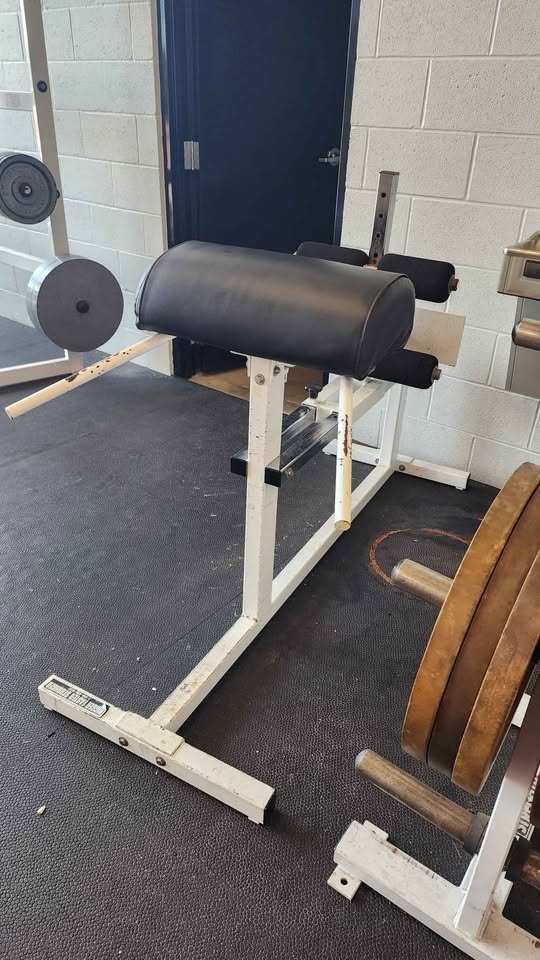 BFS Glute Ham Developer (GHD) – Commercial Grade | CFF Strength