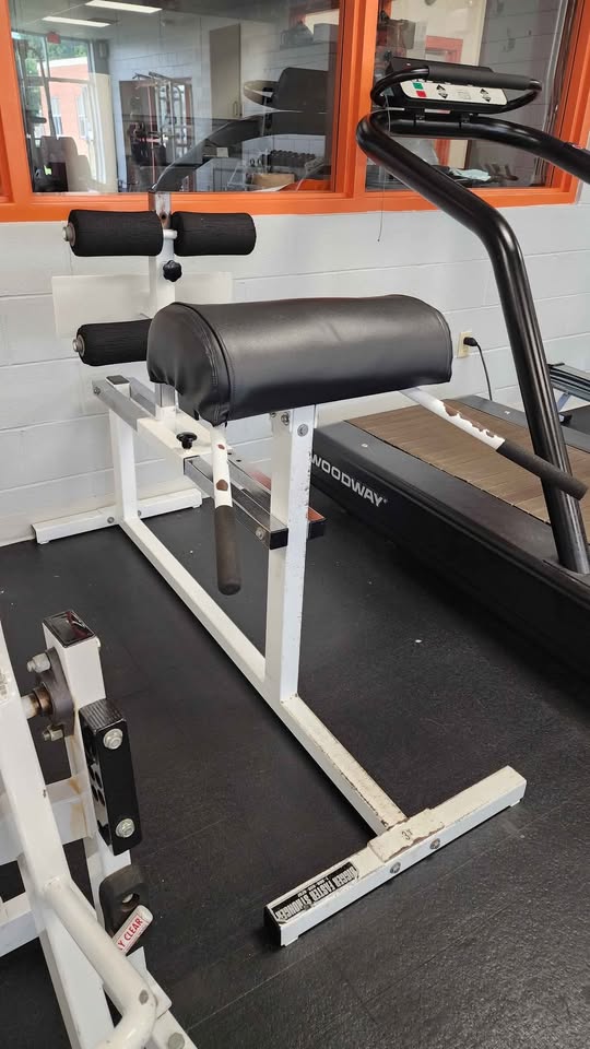 BFS Glute Ham Developer (GHD) – Commercial Grade