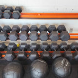 Legend Fitness Dumbbell Rack – 2-Tier or 3-Tier – Model 3118 or 3168