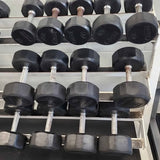 Troy TSD-R Pro Style Rubber Coated Dumbbells – 5-80 lbs Set