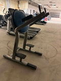 Life Fitness Signature LSR Leg Raise / Dip Station