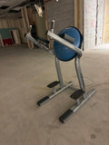 Life Fitness Signature LSR Leg Raise / Dip Station