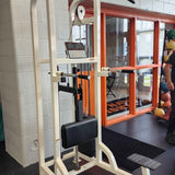 LifeFitness-SU86-Dip-Chin-Assist.1