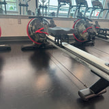 Life Fitness GX Water Rower
