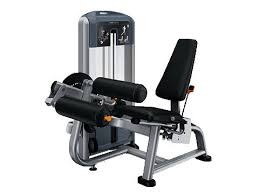 Precor Seated Leg Curl DSL0619