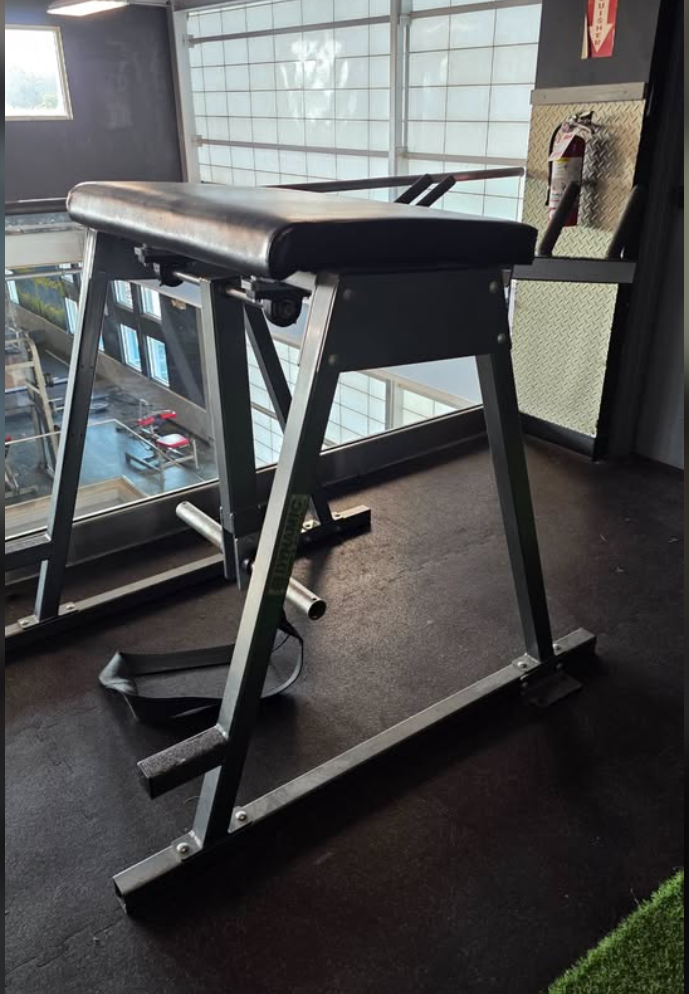 Dynamic Plate Loaded Iconic 5 Degree Reverse Hyper (700017)