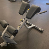 Technogym 45° Adjustable Hyper Extension