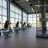 True_Fitness_Recumbent_Bike_R900_Envision_16_LCD.2