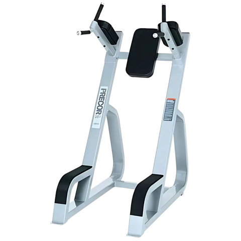Precor Icarian CW-702 VKR Vertical Knee Raise