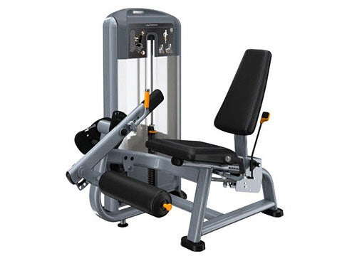 Precor Leg Extension DSL0605 Discovery Series