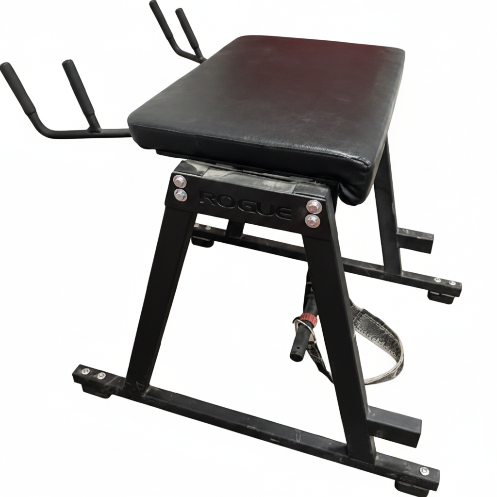 Rogue Rowing Machine Chain Guard Rogue RH-2 Reverse Hyper | Posterior Chain | CFF Strength Equipment
