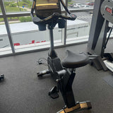 true-fitness-u900-upright-bike-envision-16-console.1