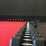 CFF Rubber Hex Dumbbells - Limited Lifetime Warranty - CFF FIT