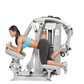 Hoist Inner Thigh RS-1406
