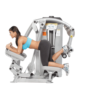 Hoist Inner Thigh RS-1406