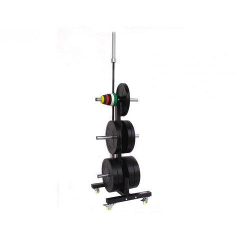 The best olympic bumper plate rack | CFF FIT