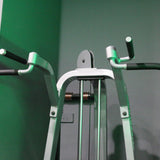 Precor Icarian Dip Chin Assist 320 - Icarian Series
