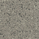 CLOSEOUT Regupol AktivPro 1" Rubber Gym Flooring Tiles